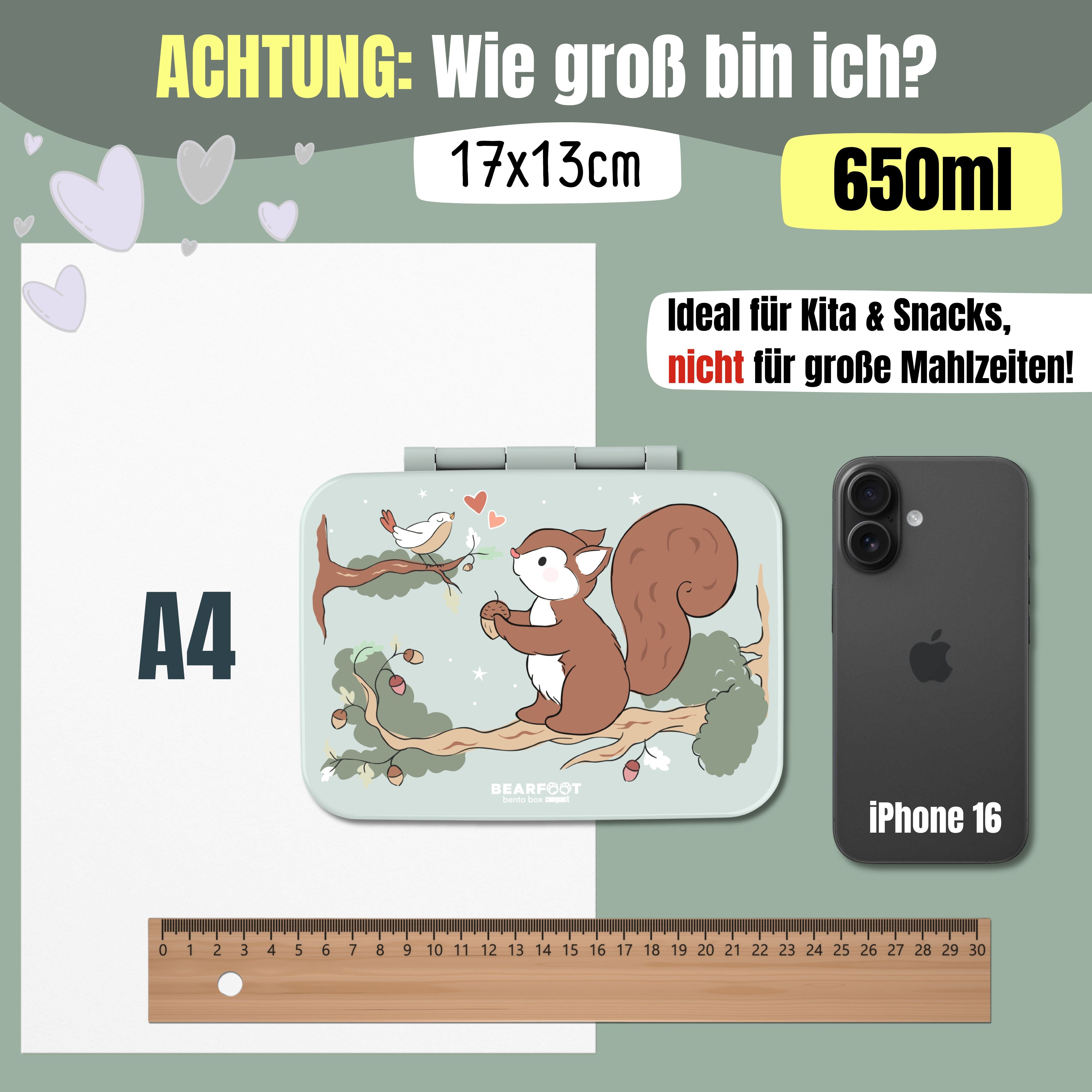 bearfoot-bento-box-compact-eichh-rnchen-salbei-brotdose-650-ml image 7