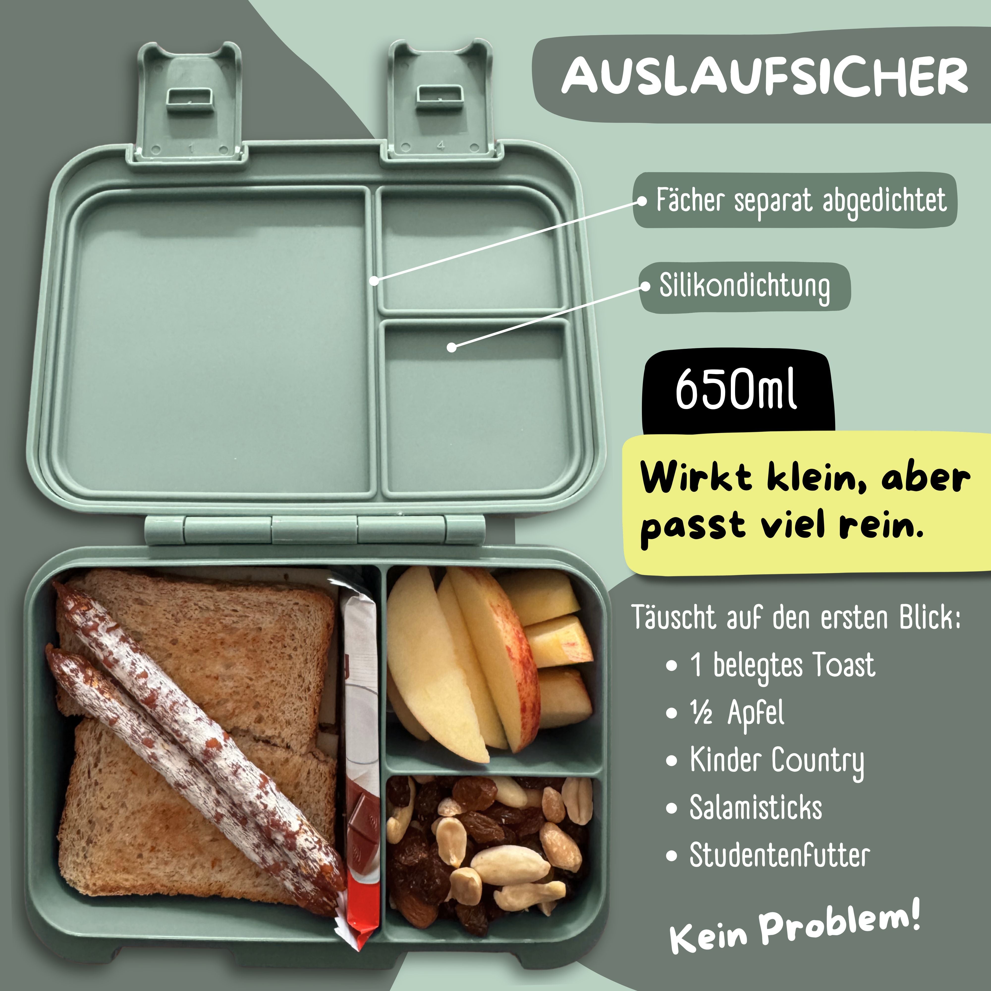 bearfoot-bento-box-compact-brotdose-650ml-koala-salbei image 6